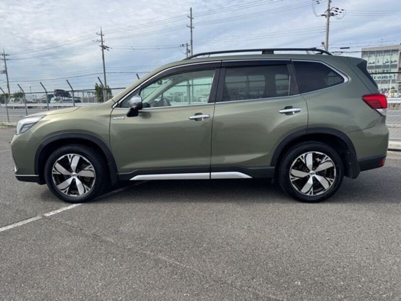 FORESTER