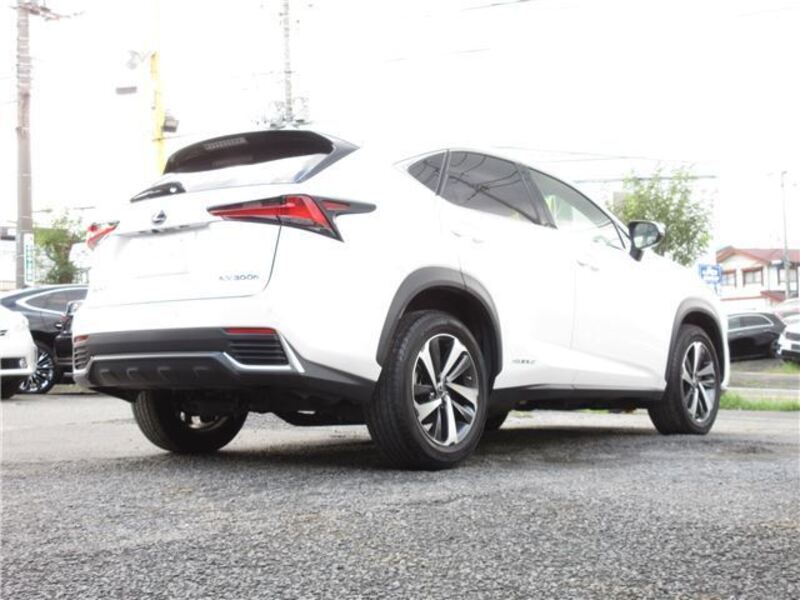 NX