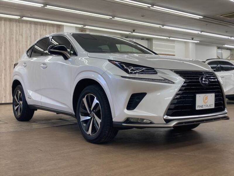 NX