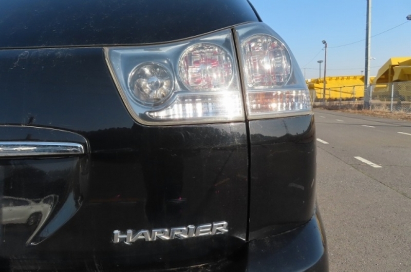 HARRIER