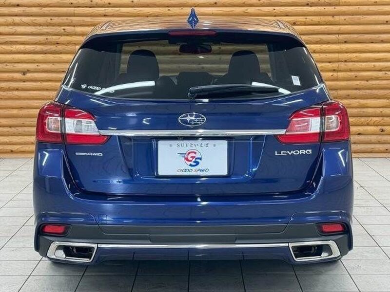 LEVORG
