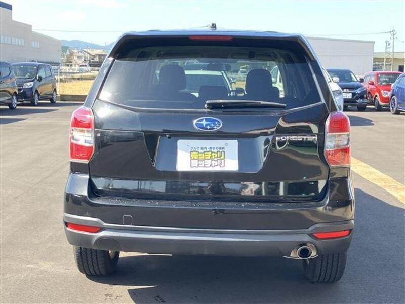 FORESTER