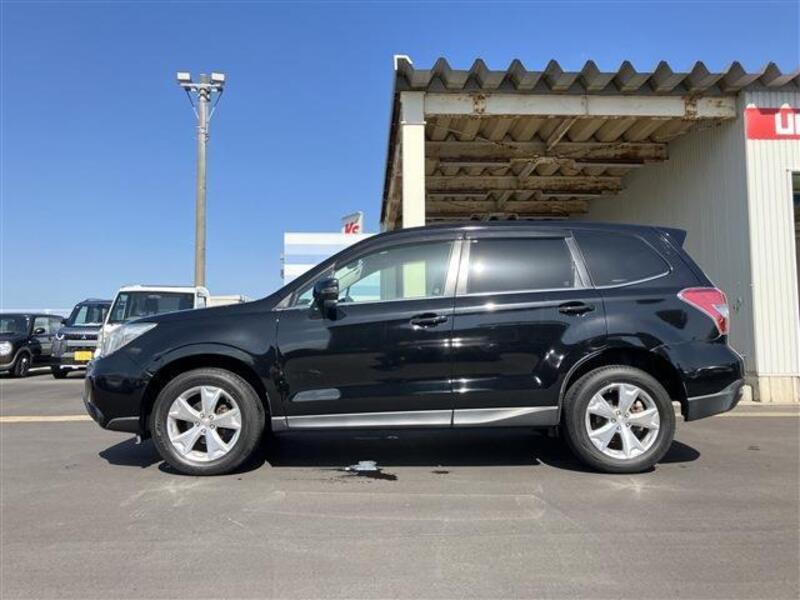 FORESTER