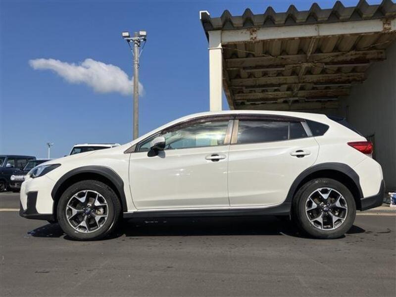 XV