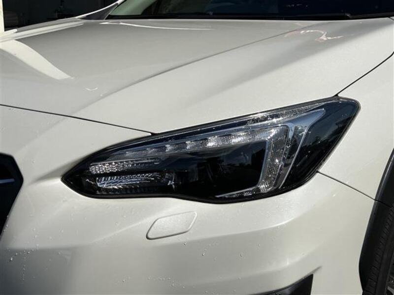 XV