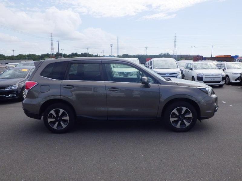 FORESTER