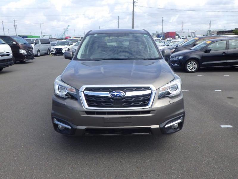 FORESTER
