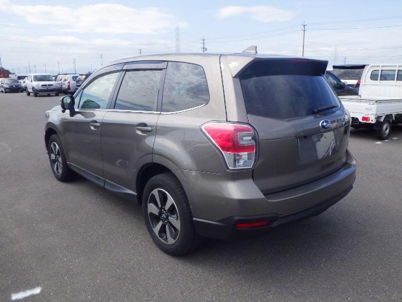 FORESTER