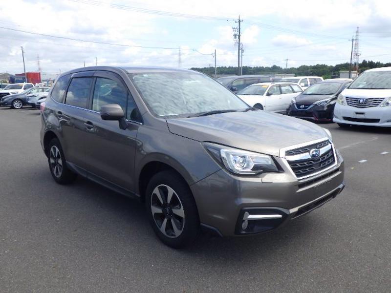 FORESTER-0