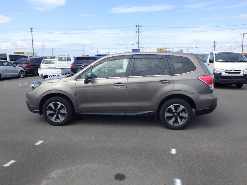 FORESTER