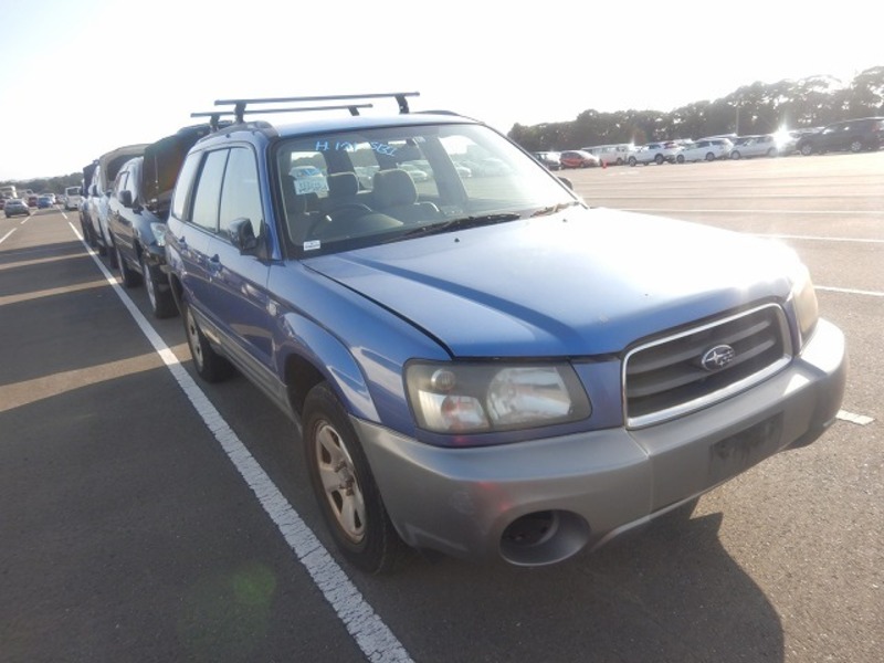 FORESTER-1