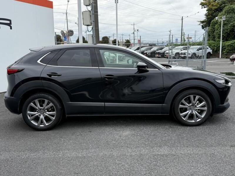 CX-30