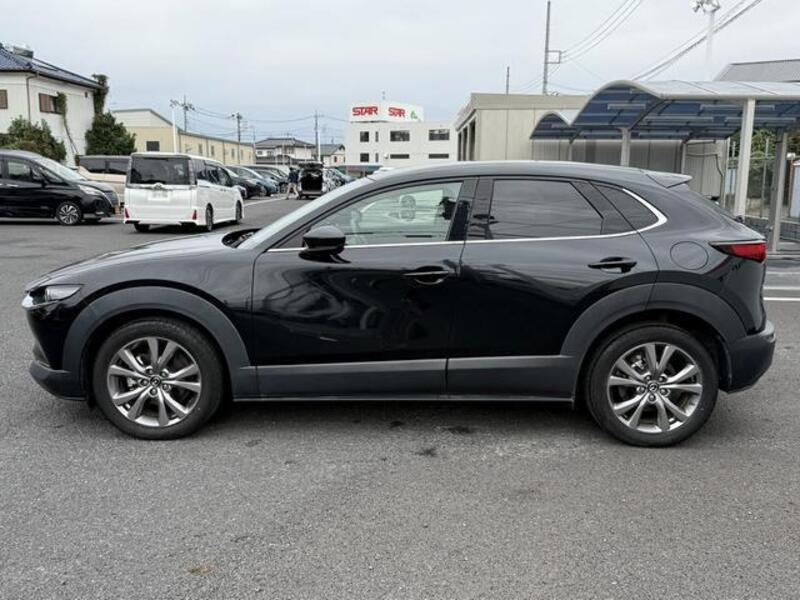 CX-30