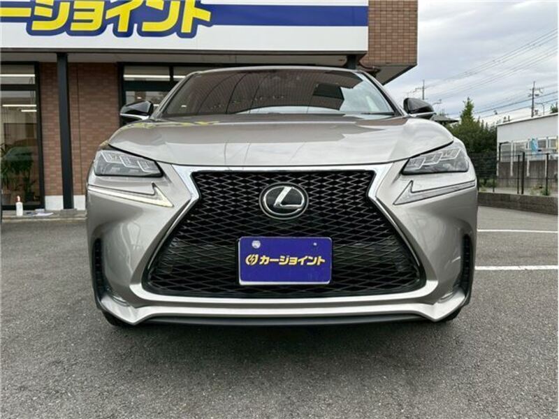 NX