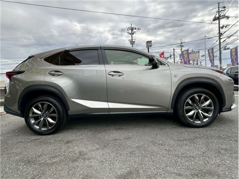 NX
