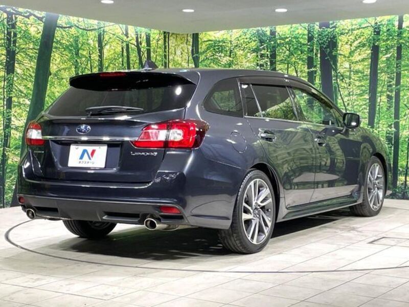 LEVORG