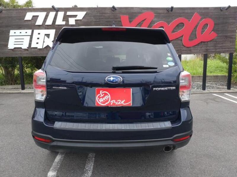 FORESTER
