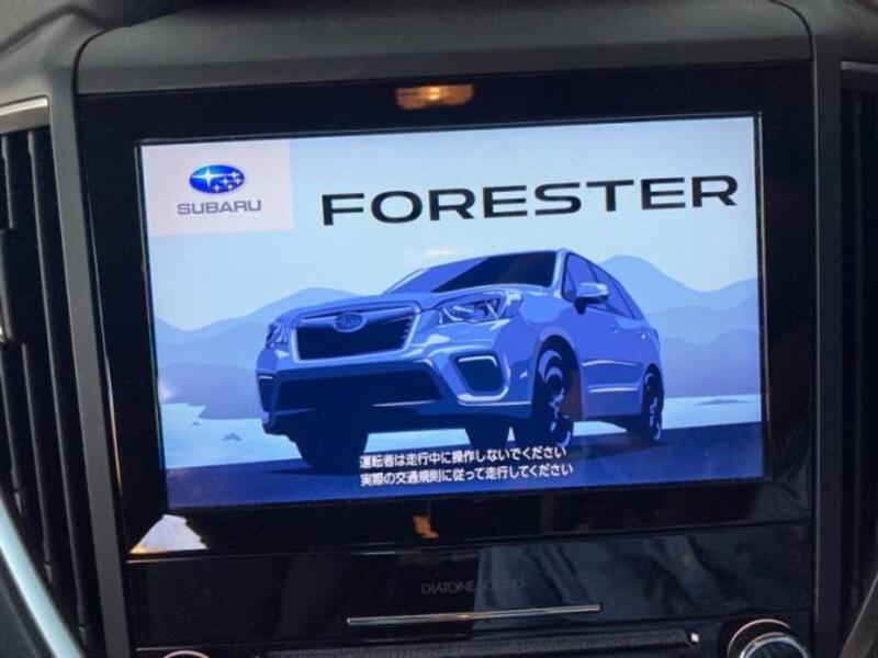 FORESTER