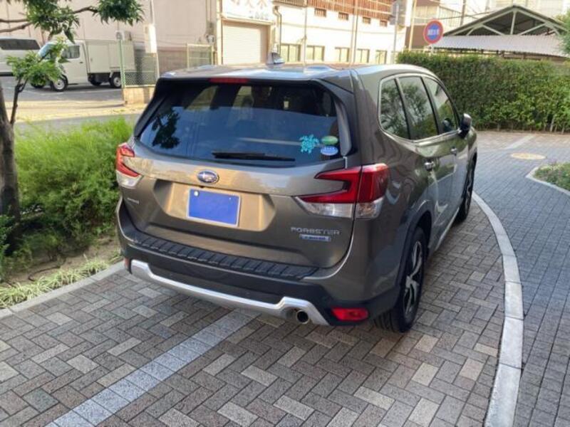 FORESTER