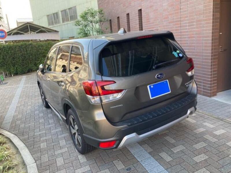 FORESTER