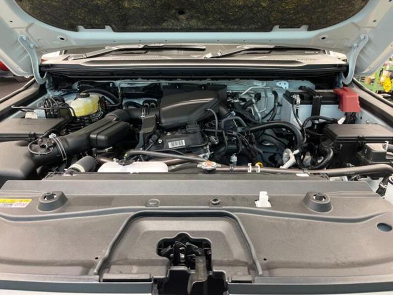 LAND CRUISER 250