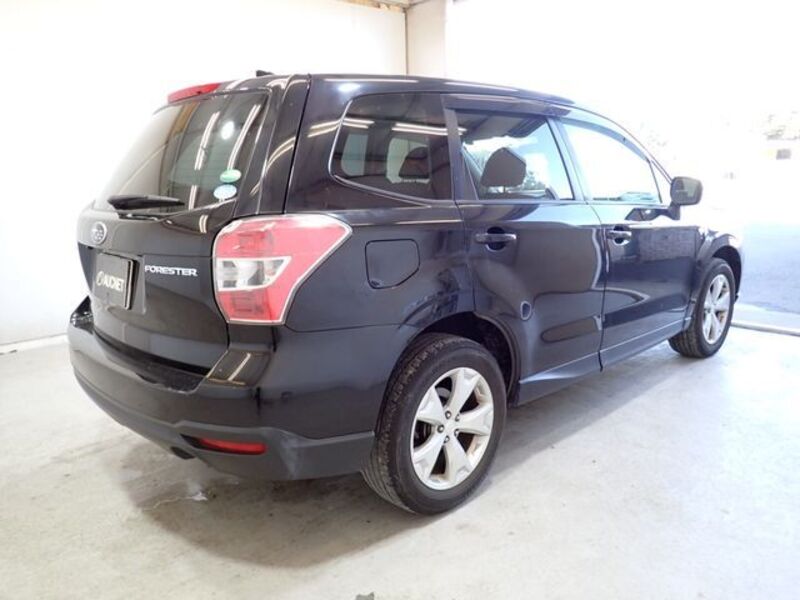 FORESTER