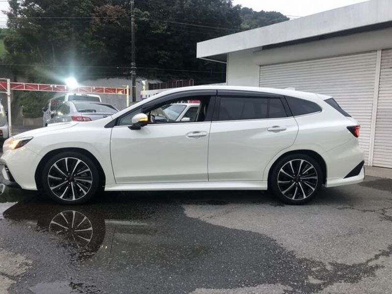 LEVORG
