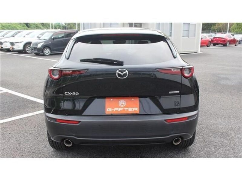 CX-30