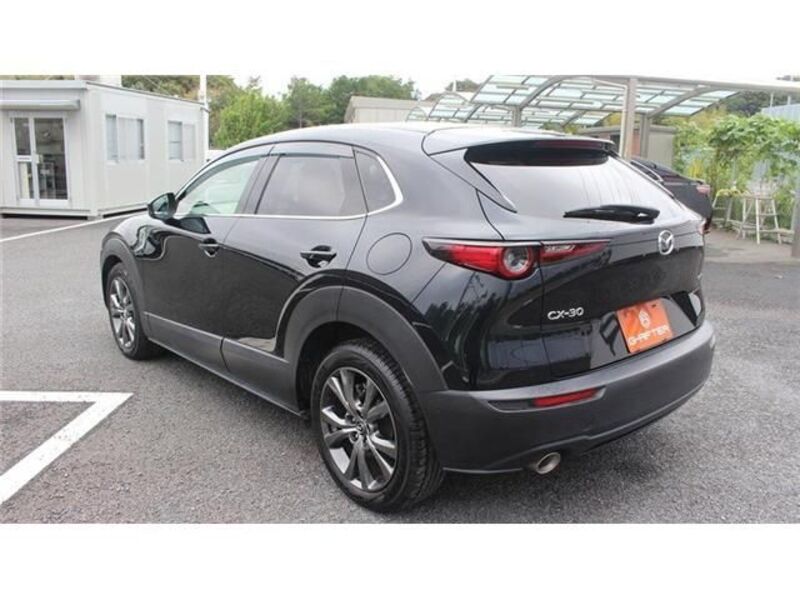 CX-30