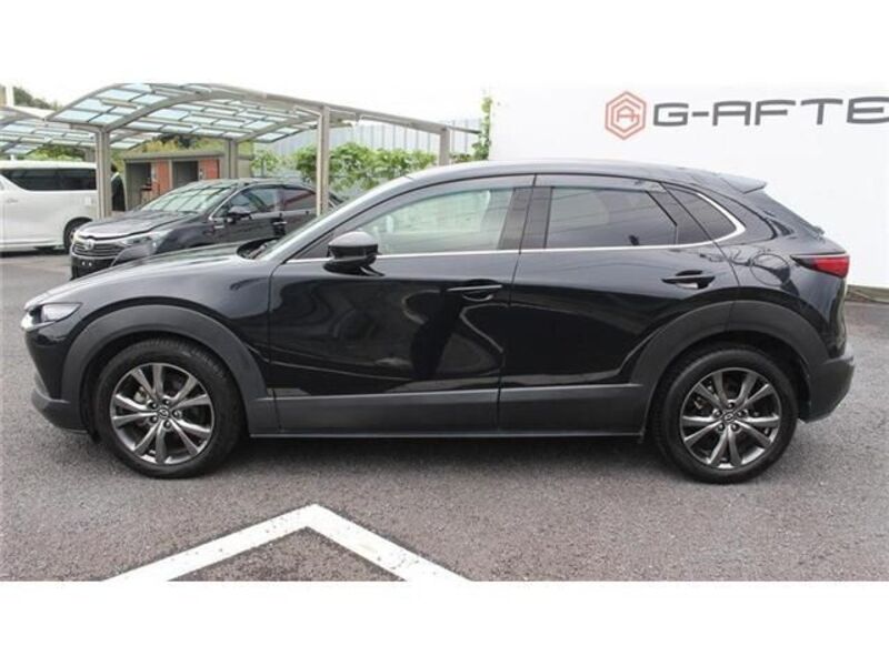 CX-30