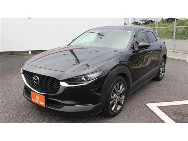 CX-30
