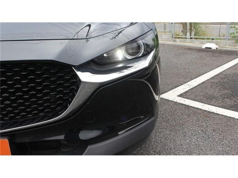 CX-30