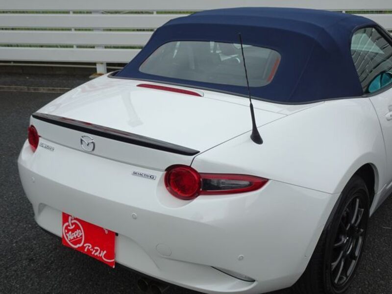 ROADSTER