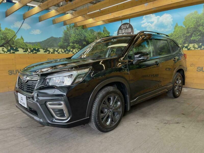 FORESTER-41