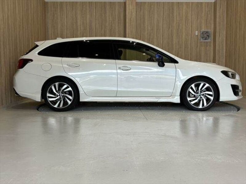 LEVORG
