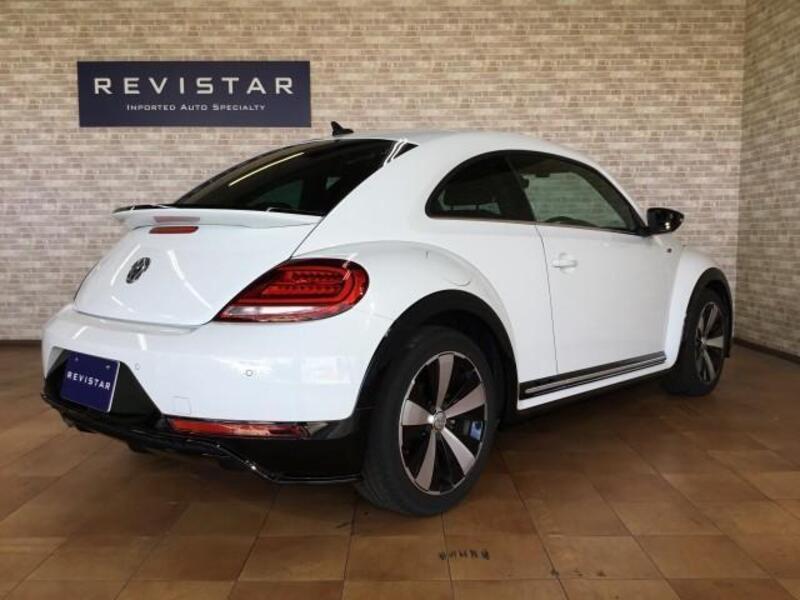 THE BEETLE