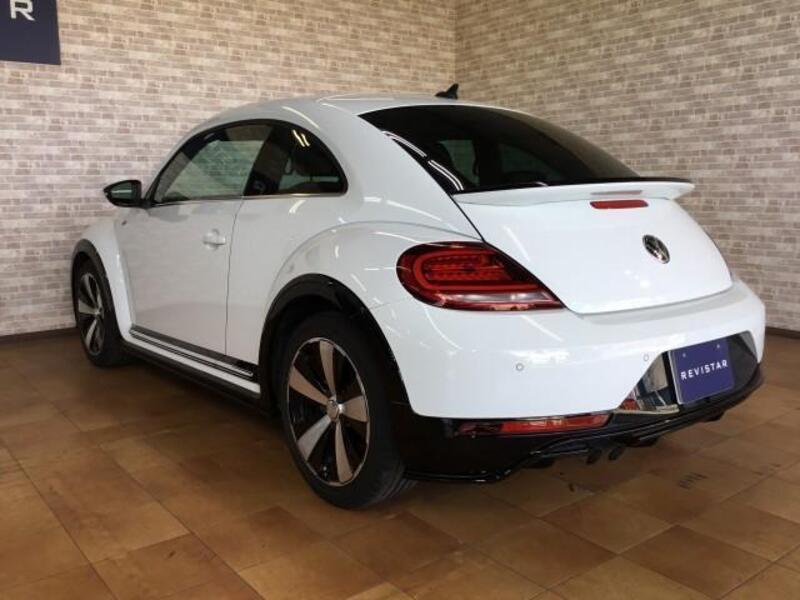 THE BEETLE