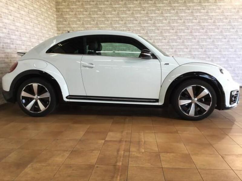 THE BEETLE