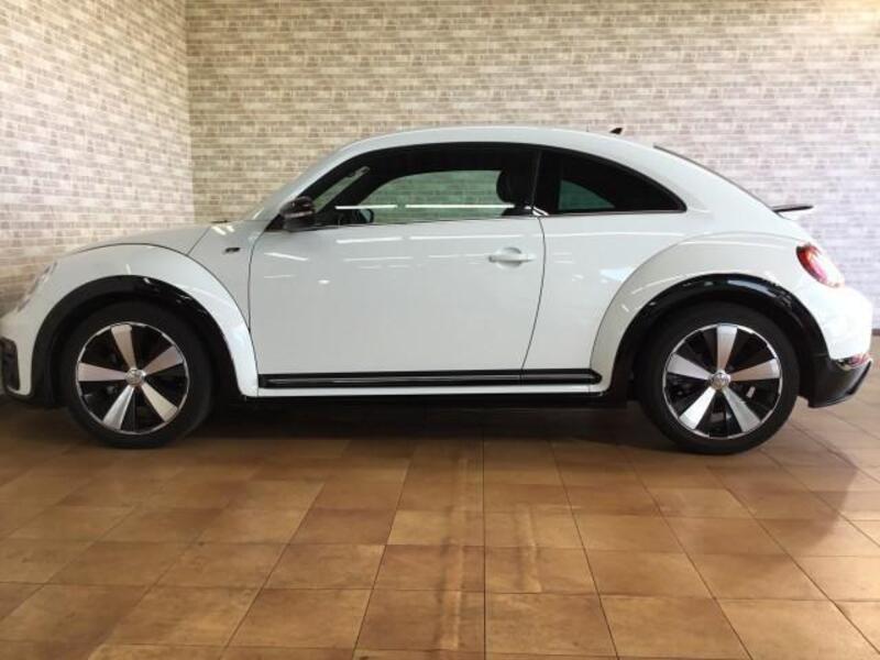 THE BEETLE
