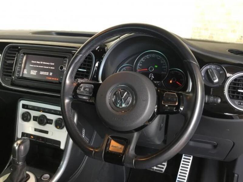 THE BEETLE