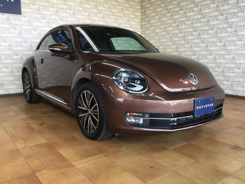 THE BEETLE