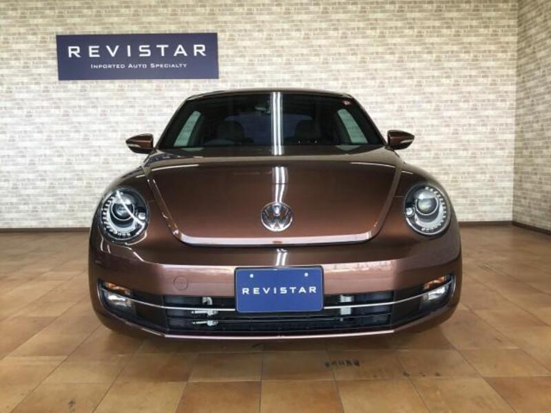 THE BEETLE