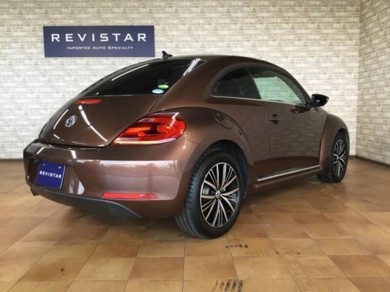 THE BEETLE