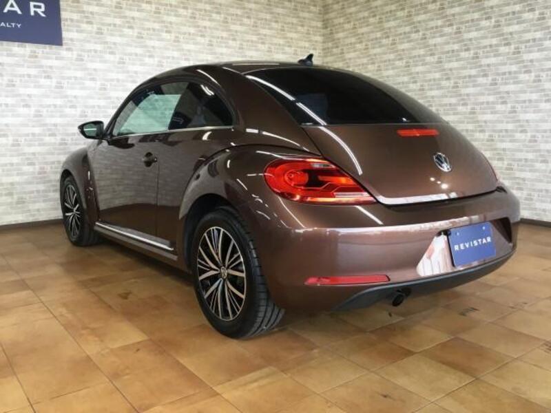 THE BEETLE