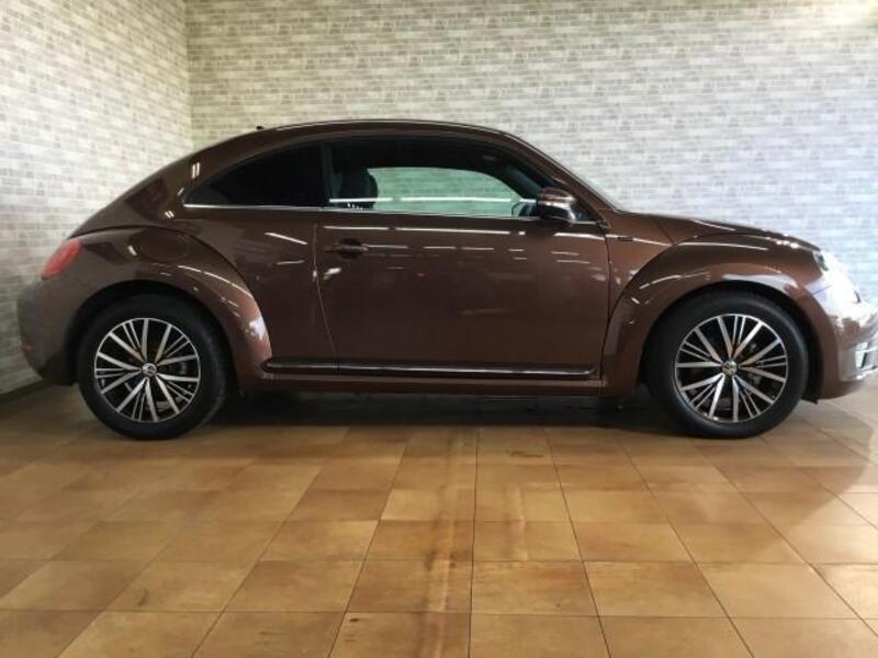 THE BEETLE