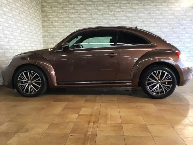 THE BEETLE
