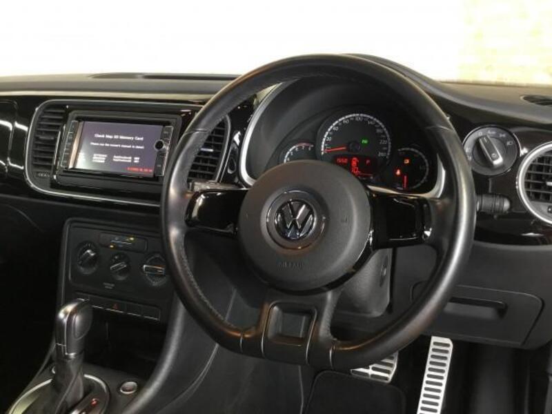 THE BEETLE