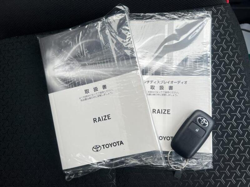 RAIZE
