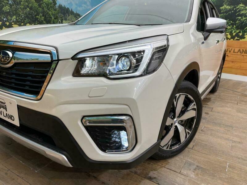FORESTER-55
