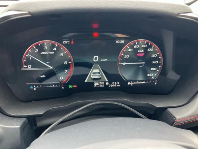 LEVORG